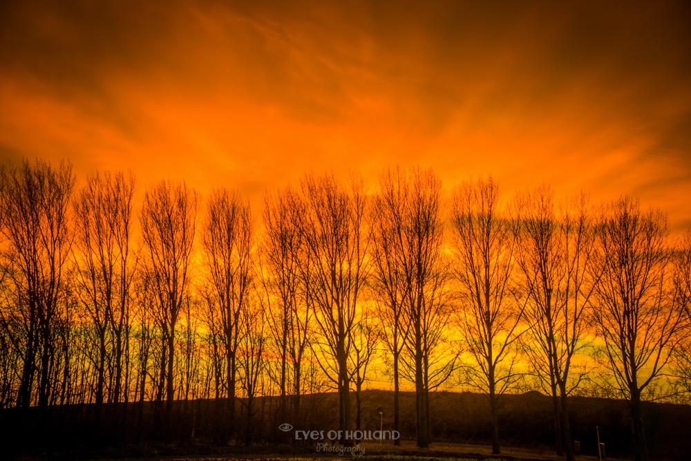 Zonsondergang in Warmond