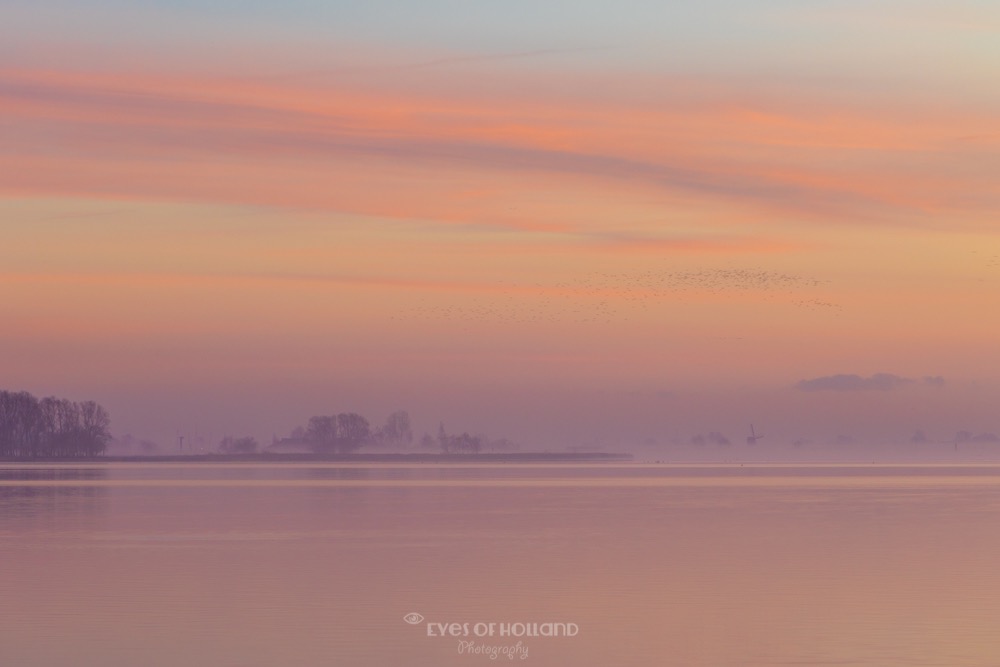 Zonsopkomst kagerplassen Warmond