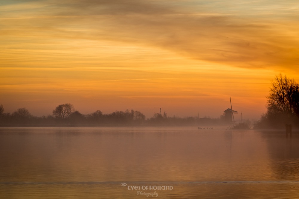 Zonsopkomst kagerplassen Warmond