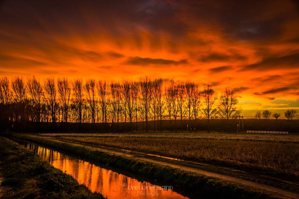 Zonsondergang in Warmond