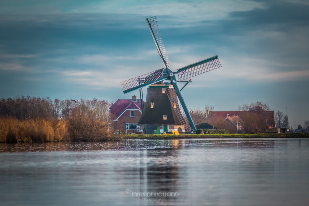 Molen