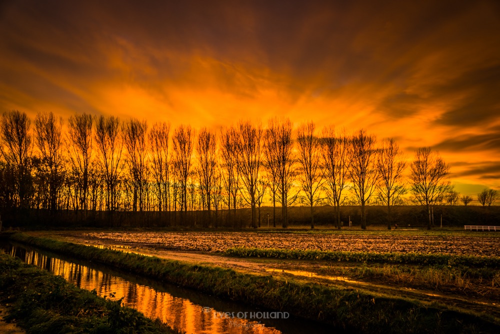 Zonsondergang in Warmond