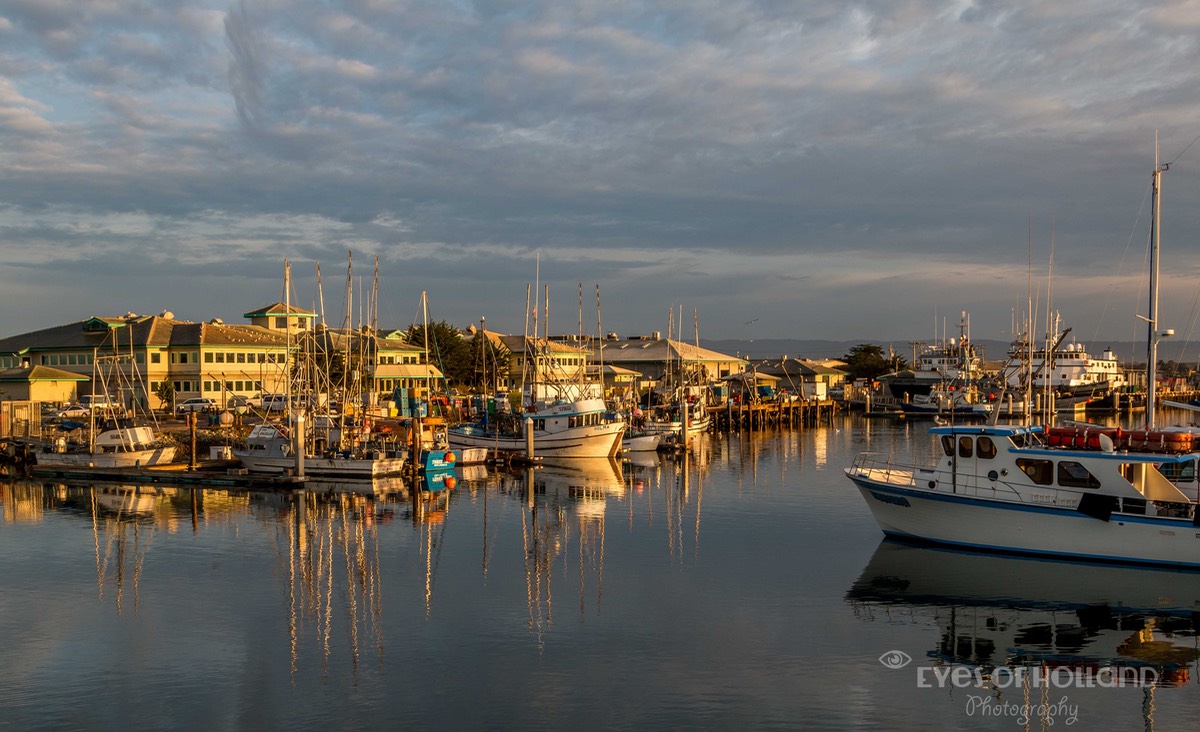 moss landing harbour (1 van 2)