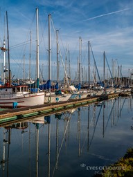 moss landing harbour (2 van 2)