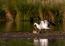 polders 24 mei-26