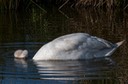 polders 24 mei-37